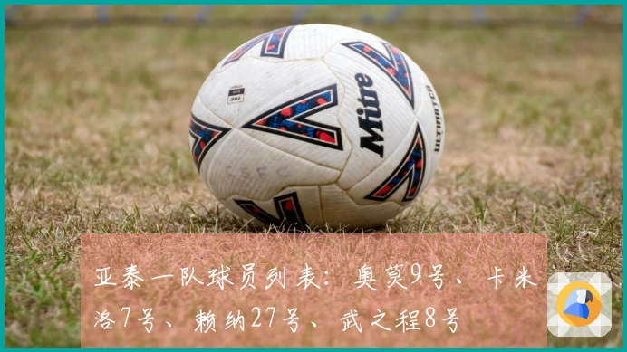 亚泰一队球员列表：奥莫9号、卡米洛7号、赖纳27号、武之程8号