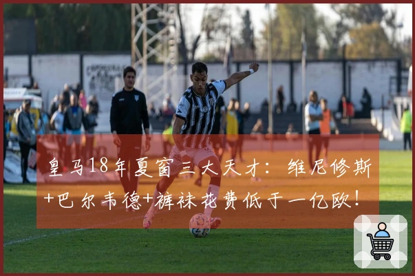 皇马18年夏窗三大天才：维尼修斯+巴尔韦德+裤袜花费低于一亿欧！